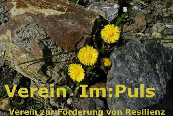 Im:Puls – Verein zur Förderung von Resilienz