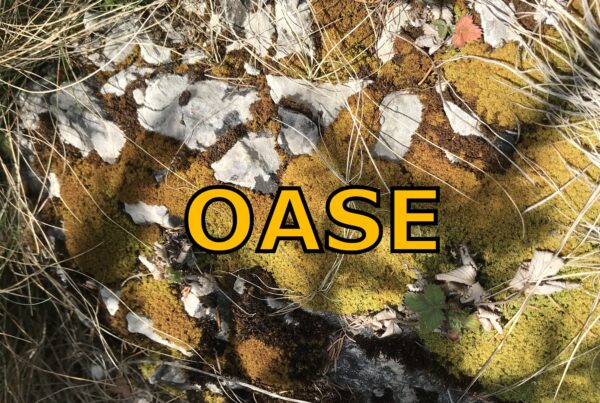 OASE – kreative ganzheitliche Lebenshilfe